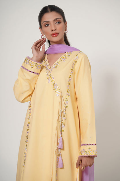 Stitched 3 Piece Embroidered Cambric Suit