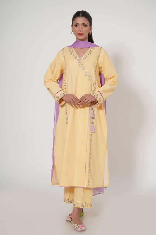 Stitched 3 Piece Embroidered Cambric Suit