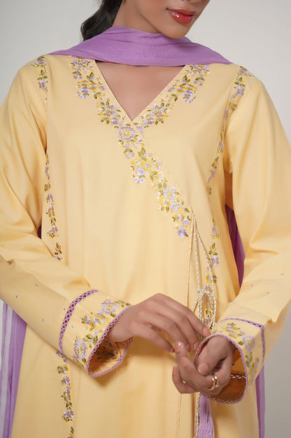 Stitched 3 Piece Embroidered Cambric Suit