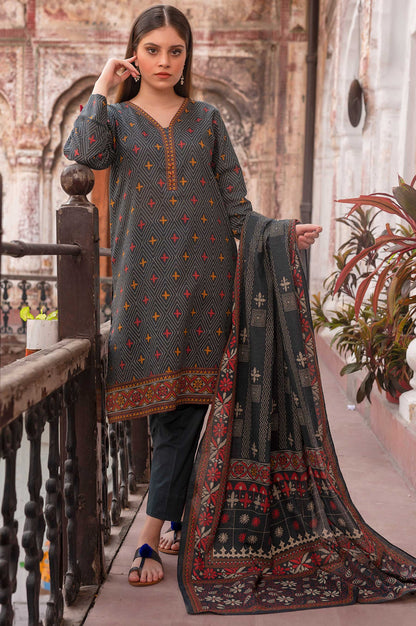 Stitched 3 Piece Printed Karandi Suit
