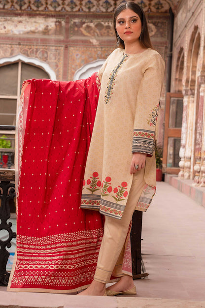 Stitched 3 Piece Printed Karandi Suit
