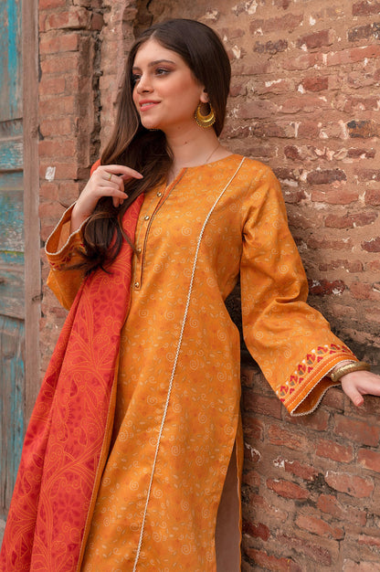 Stitched 3 Piece Printed Linen Viscose Suit