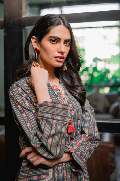 Stitched 1 Piece Digital Printed Khaddar Shirt