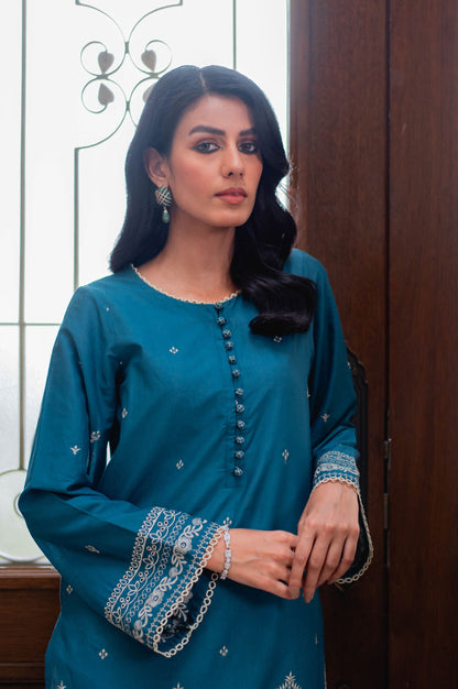 Stitched 1 Piece Chikankari Lawn Shirt