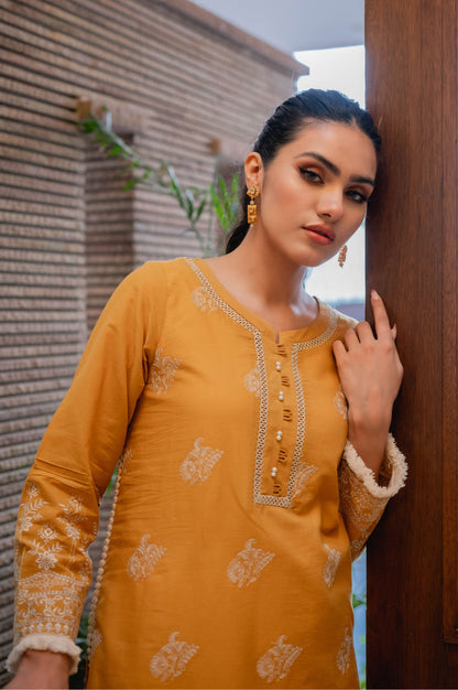 Stitched 1 Piece Chikankari Lawn Shirt