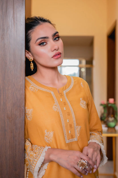 Stitched 1 Piece Chikankari Lawn Shirt