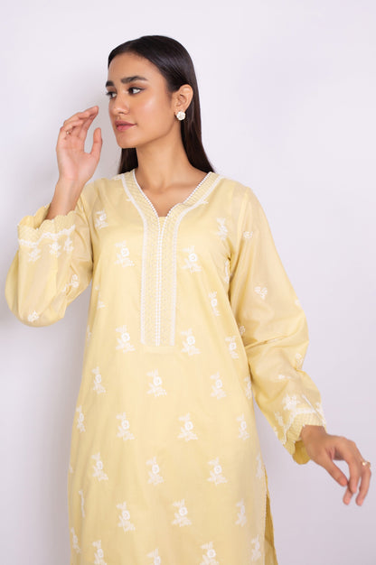 Stitched 1 Piece Chikankari Shirt