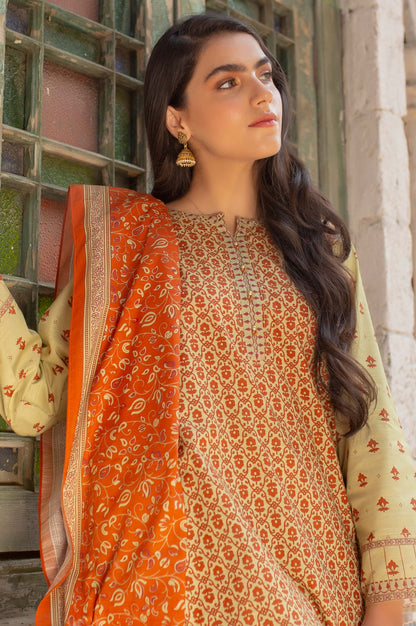 Stitched 2 Piece Printed Khaddar Suit