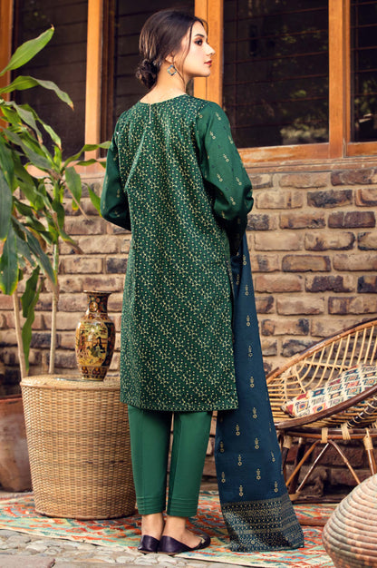 Stitched 2 Piece Embroidered Cottel Suit