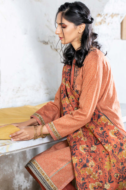 Stitched 2 Piece Embroidered Karandi Suit