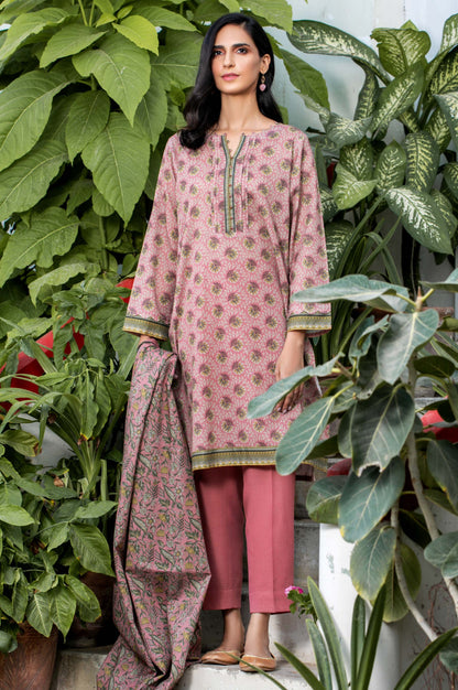 Stitched 2 Piece Printed Karandi Suit