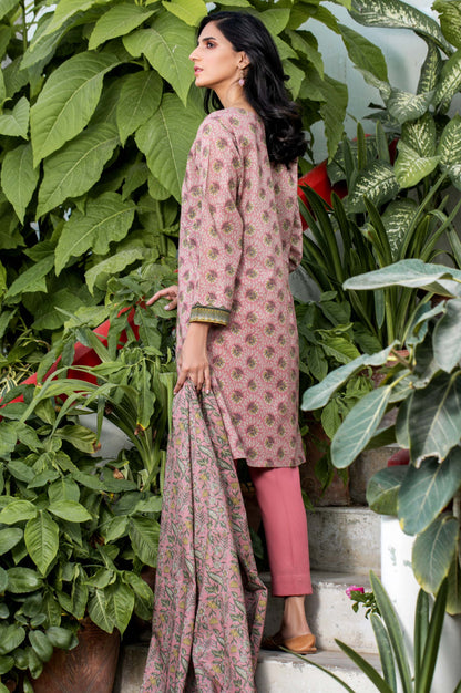 Stitched 2 Piece Printed Karandi Suit