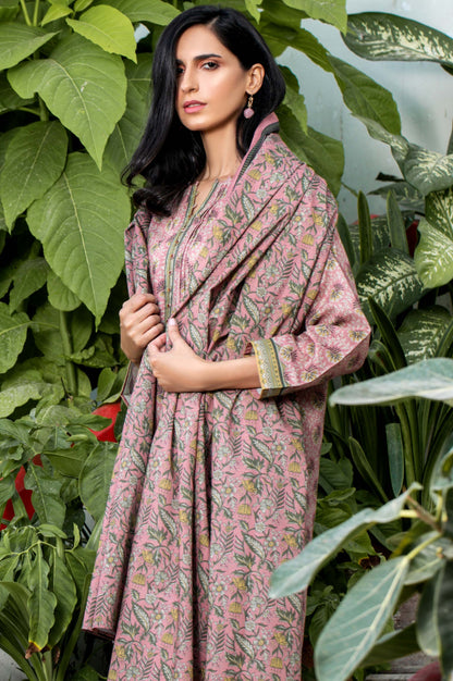 Stitched 2 Piece Printed Karandi Suit