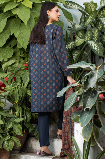 Stitched 2 Piece Printed Karandi Suit