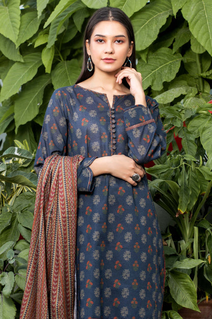 Stitched 2 Piece Printed Karandi Suit