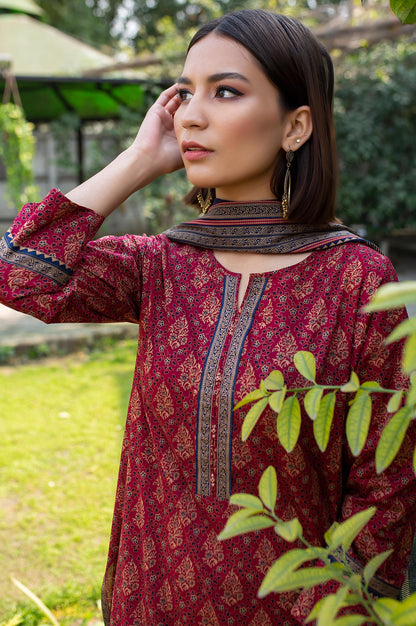 Stitched 2 Piece Printed Lawn Suit with Printed Lawn Dupatta