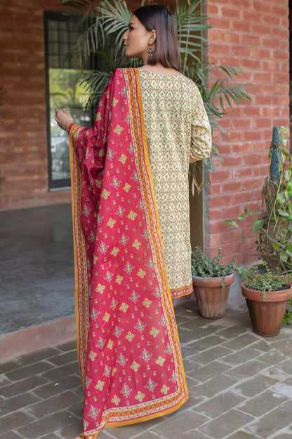 Stitched 2 Piece Printed Lawn Suit