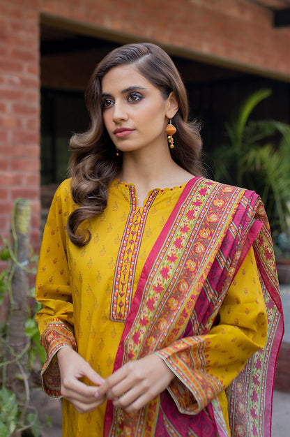 Stitched 2 Piece Printed Lawn Suit with Voile Slub Dupatta