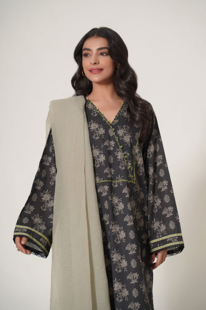 Stitched 2 Piece Printed Cambric Suit