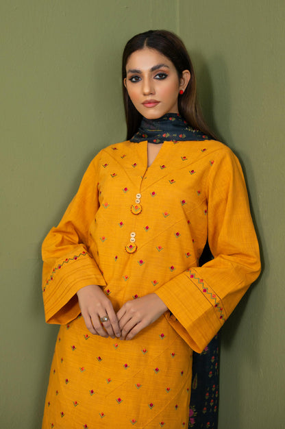 Stitched 2 Piece Both Side Slub Embroidered Suit