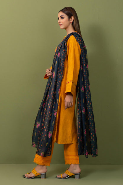 Stitched 2 Piece Both Side Slub Embroidered Suit