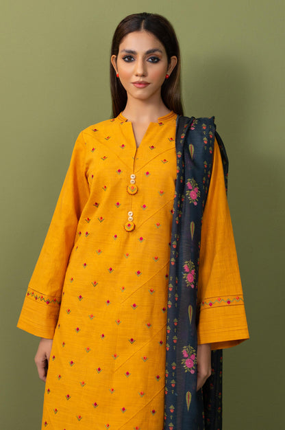 Stitched 2 Piece Both Side Slub Embroidered Suit