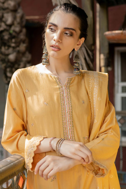 Stitched 3 Piece Embroidered Khaddar Suit