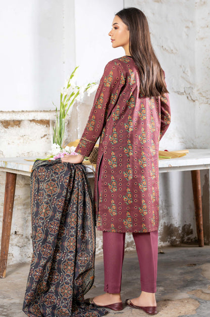Stitched 3 Piece Printed Karandi Suit
