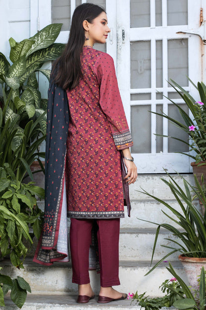 Stitched 3 Piece Printed Karandi Suit