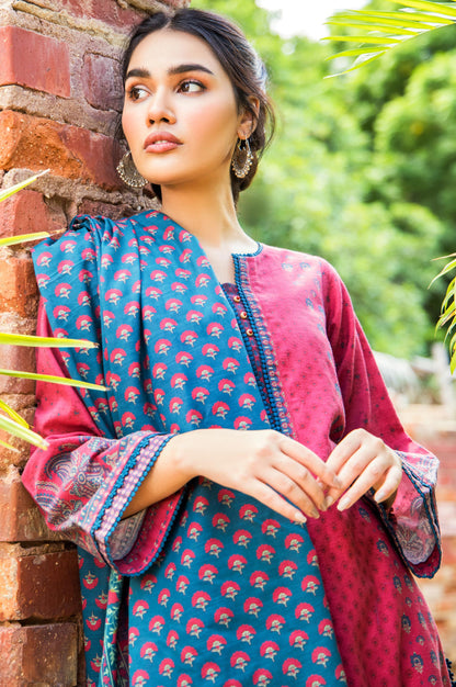 Stitched 3 Piece Printed Khaddar Suit