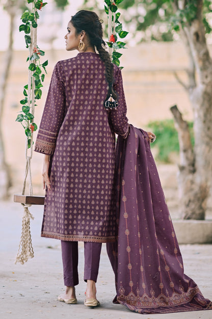 Stitched 3 Piece Printed Karandi Suit