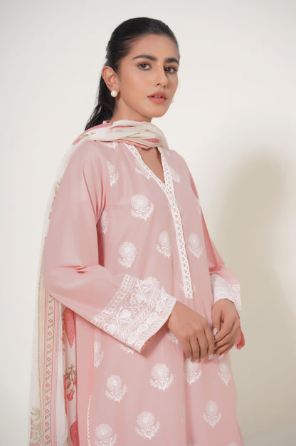 Stitched 3 Piece Chikankari Suit