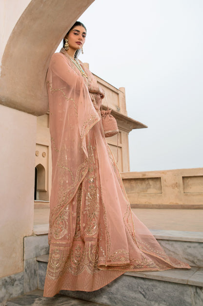 3 Piece Embroidered Net Suit