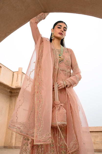 3 Piece Embroidered Net Suit