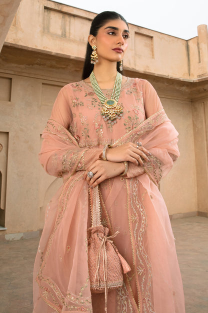 3 Piece Embroidered Net Suit