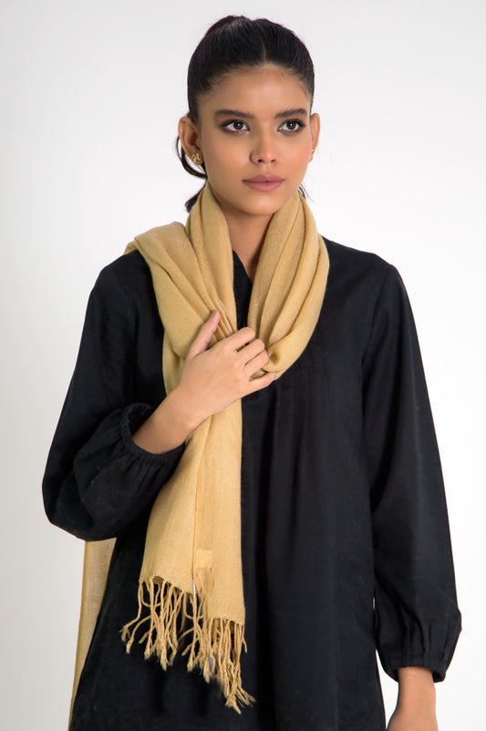 Solid Bordered Scarf