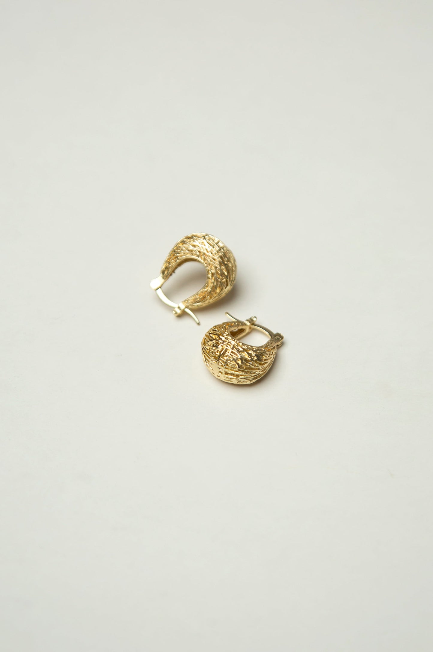 Golden Hoop Earrings
