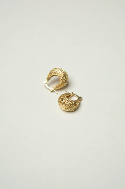 Golden Hoop Earrings