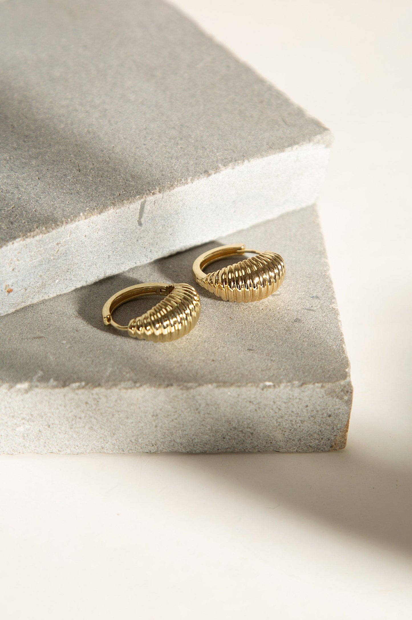 Golden Hoop Style Earrings