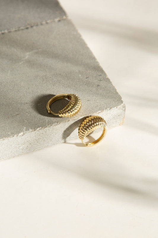 Golden Hoop Style Earrings