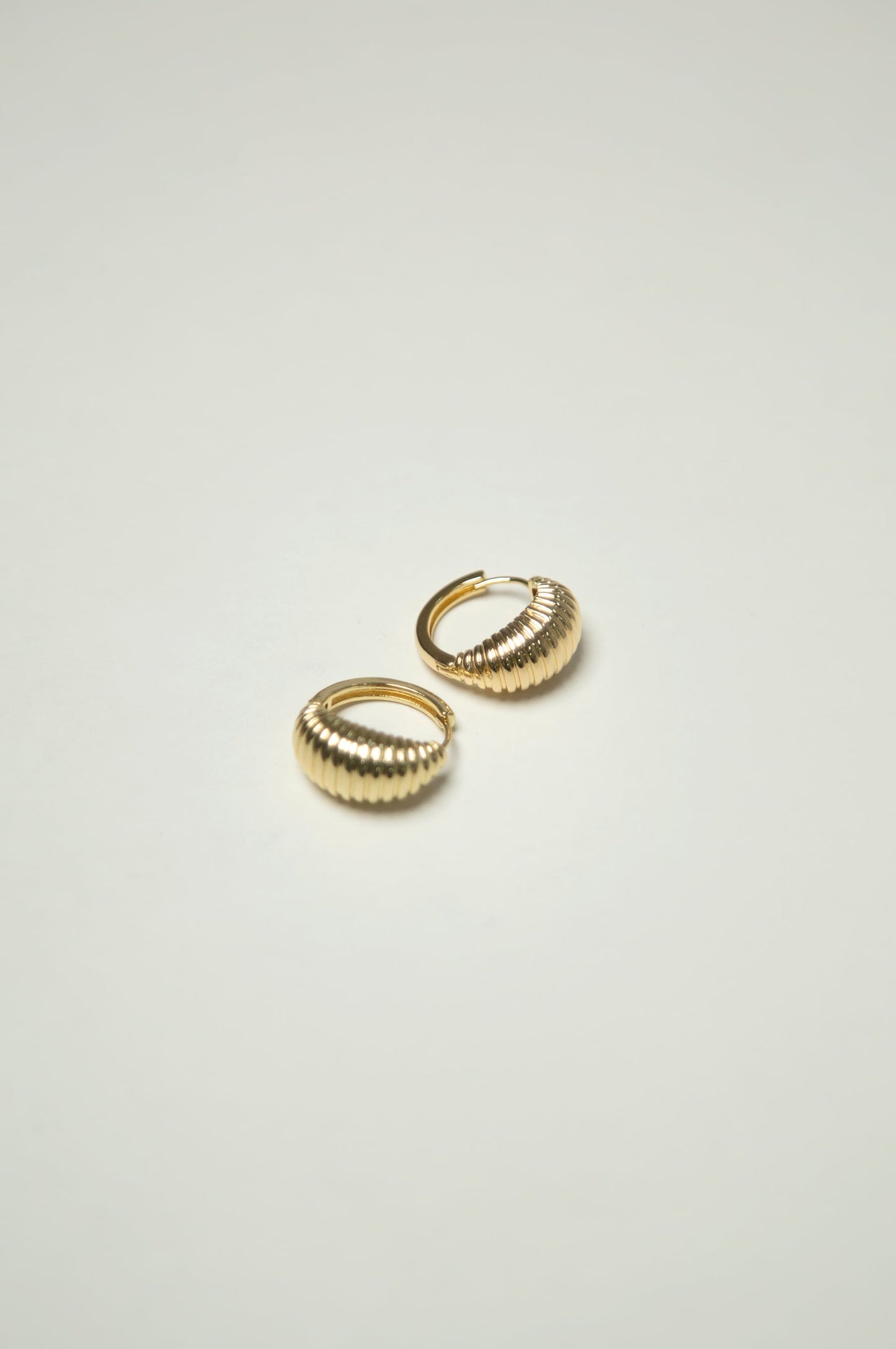 Golden Hoop Style Earrings