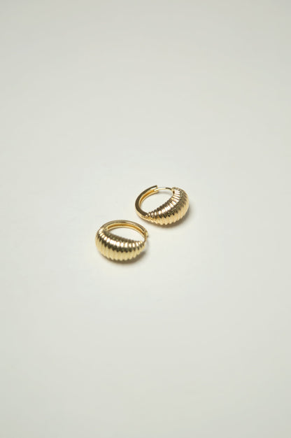 Golden Hoop Style Earrings