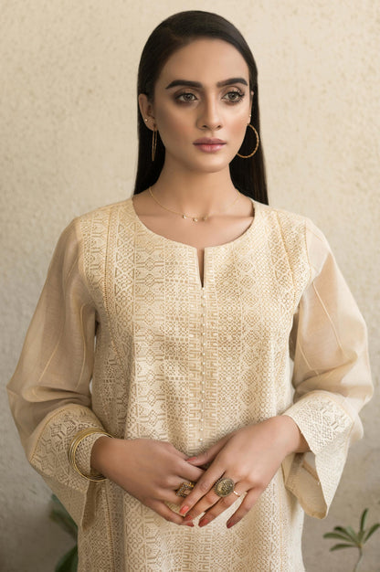 Stitched 1 Piece Embroidered Khaddi Net Shirt