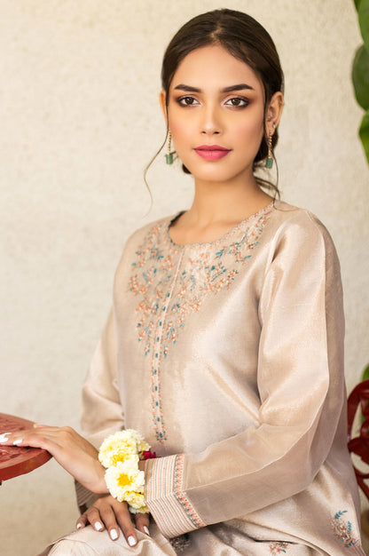 Stitched 1 Piece Tissue Zari Embroidered Shirt
