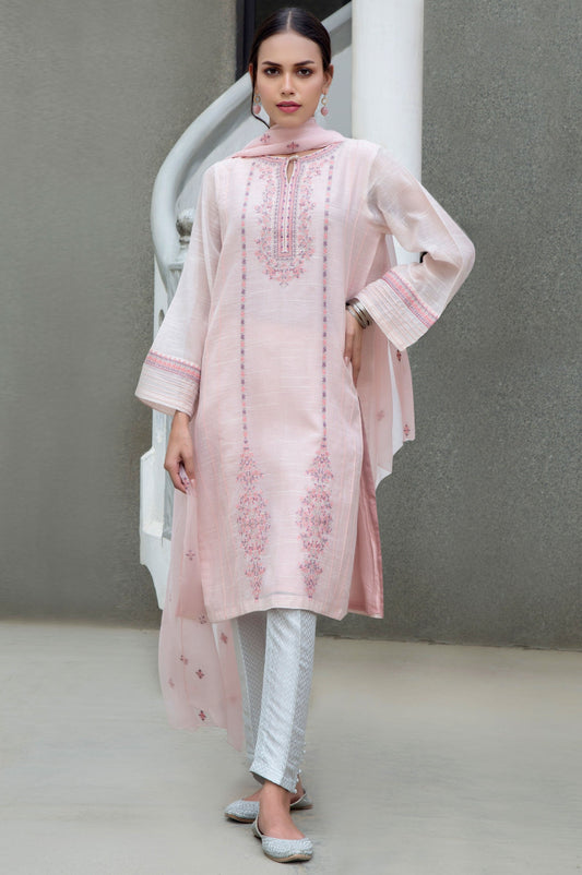 Stitched 2 Piece Slub Net Embroidered Suit