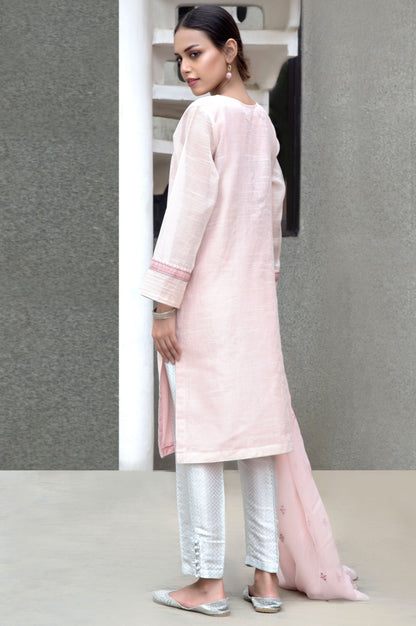 Stitched 2 Piece Slub Net Embroidered Suit