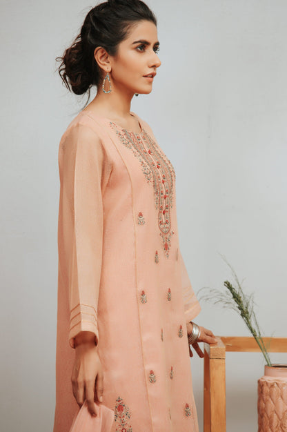 Stitched 2 Piece Karandi Maysori Embroidered Suit