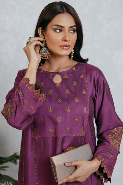 Stitched 2 Piece Cotton Silk Embroidered Suit