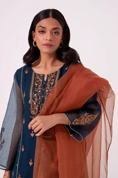 Stitched 2 Piece Embroidered Textured Organza Suit.