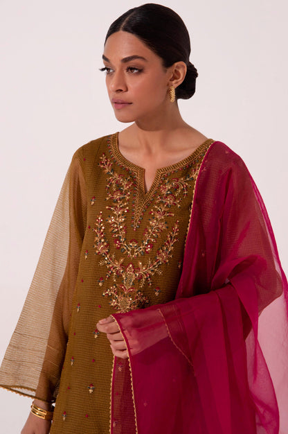 Stitched 2 Piece Embroidered Textured Organza Suit.